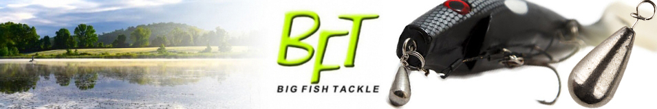 BFT Tungsten Fastach Sinker