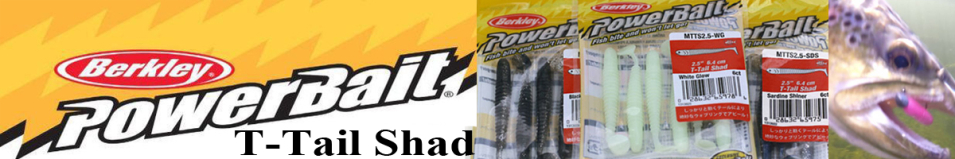 Berkley Powerbait T-Tail Shad 2.5