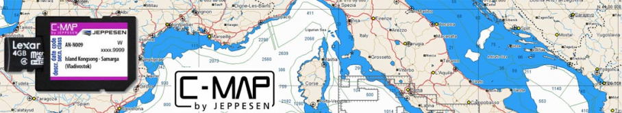 Карта C-MAP Lowrance EM-N111