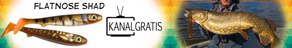 KanalGratis Flatnose Shad 190мм 50гр
