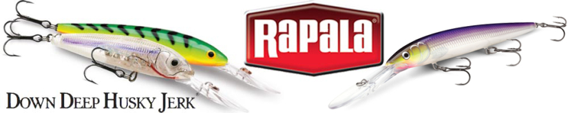 Rapala Down Deep Husky Jerk DHJ14