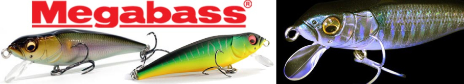 Megabass FX6.6