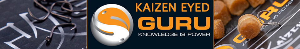 Guru Kaizen Eyed