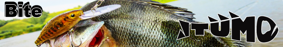 Itumo Bite 60F
