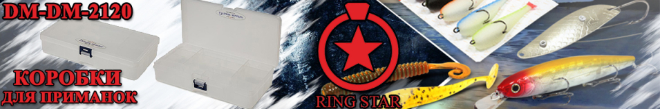 Ring Star DM-2120