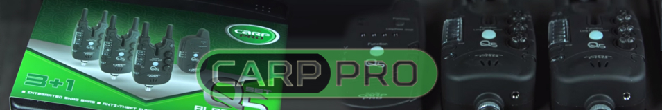 Carp Pro Q5 3+1