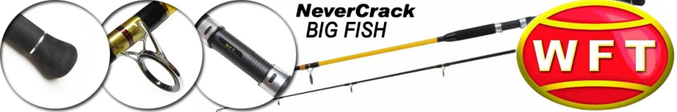 WFT Never Crack Big Fish