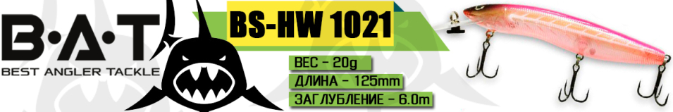 BAT BS-HW 1021