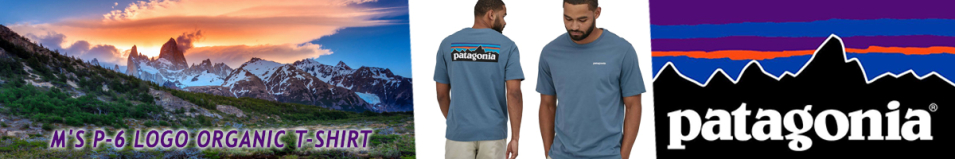 Patagonia M's P-6 Logo Organic T-Shirt PGBE