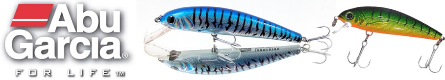 Abu Garcia Tormentor 110F