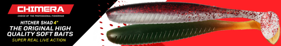 Chimera Hitcher Shad 4