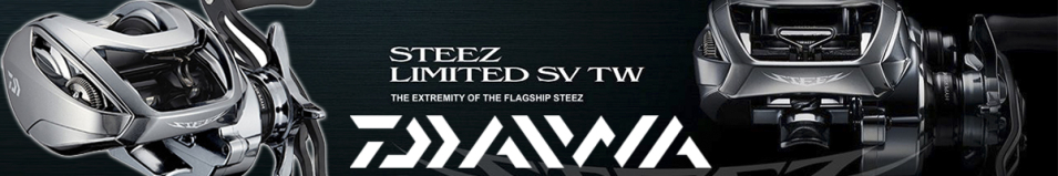 Daiwa Steez Limited SV TW