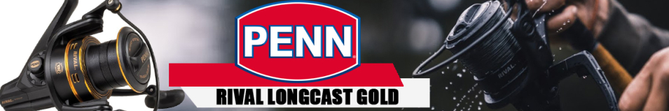 Penn Rival Longcast Gold