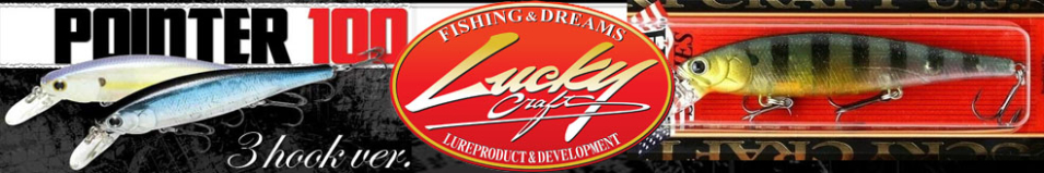 Lucky Craft Pointer 100 H3