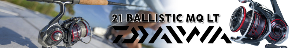 Daiwa 21 Ballistic MQ LT