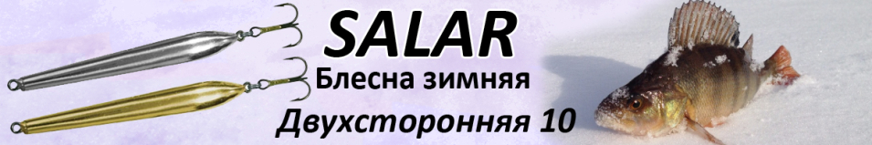 Salar Двухсторонняя 10 (10,5гр. 65мм)