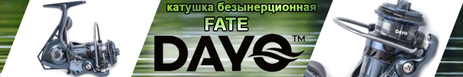 Dayo Fate