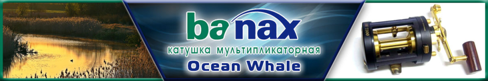 Banax Ocean Whale 