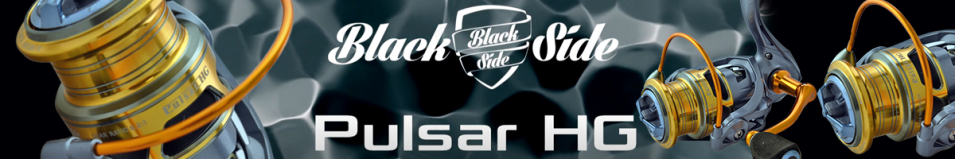 Black Side Pulsar HG FD