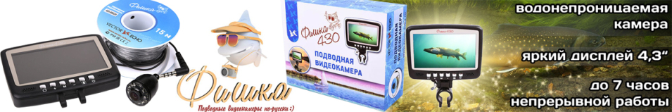 Фишка 430