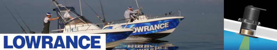 Lowrance P319