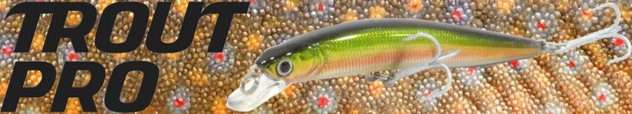 Trout Pro Slim Minnow 90F