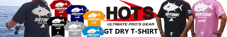 Hots GT Dry T-Shirt Gray