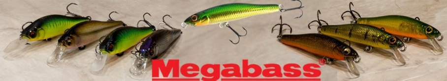 Megabass X-55 Minnow (F)