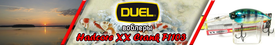 Duel Hardcore XX Crank F1103