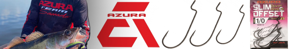 Azura Slim Offset Worm Hook