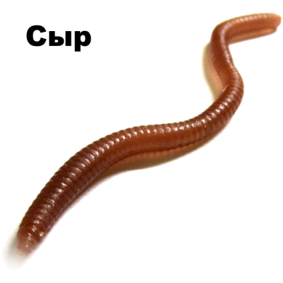 Черви съедобные Garry Angler Worms 30 шт/Cheese #Коричневые