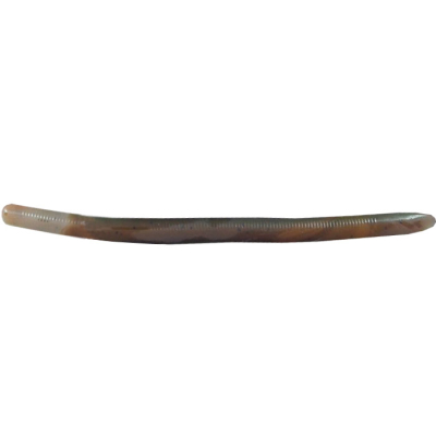 Силиконовая приманка черви Reins Swamp Worm Fat 5.5" цв. #B01 Castaic Choice