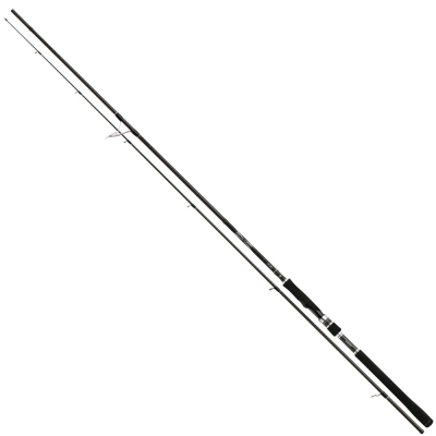 Спиннинг Shimano Dialuna S906M