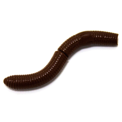 Силиконовая приманка Viva Fish Stretch Worm 2.5" цвет 114