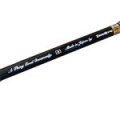 Удилище кастинговое Tenryu Rayz Integral RZI484B-UL