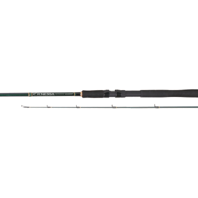 Спиннинг Daiwa R'nessa 932MFS