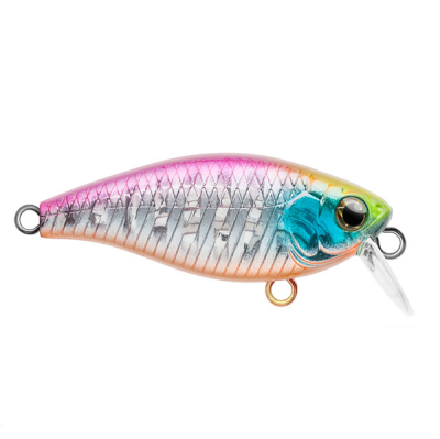 Bоблер Itumo Chip 40F SR цв. #11