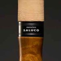 Спиннинг Smith Saluco TSS-64 3.0-10,0гр.