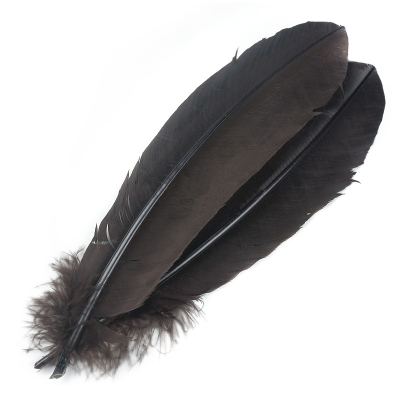 Перья индюка  маховые краш. Veniard Turkey broad Wing Quill Dyed Brown