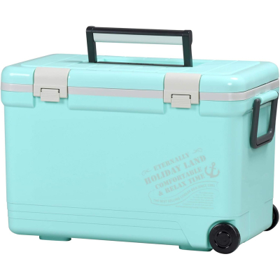 Термобокс SHINWA Holiday Cooler Light Blue 27H