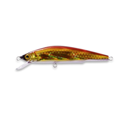 Воблер Duel Aile Magnet 3G Minnow 70S F1046-HGR