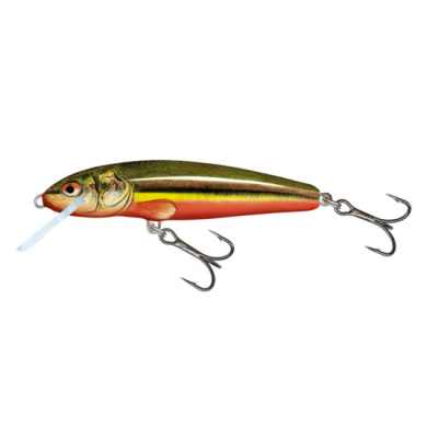 Воблер Salmo Minnow 60F цв. RBD