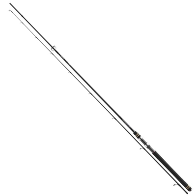 Спиннинговое удилище Daiwa TD Air Edge 3.30m 10-40g