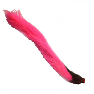 Umpqua Calftail Fl. Pink