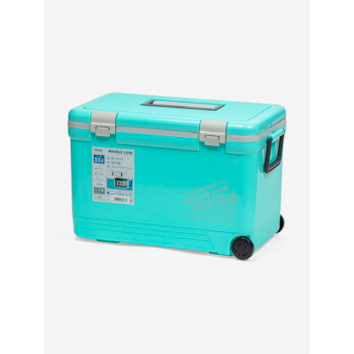 Термобокс Shinwa Holiday Land Cooler 33H синий