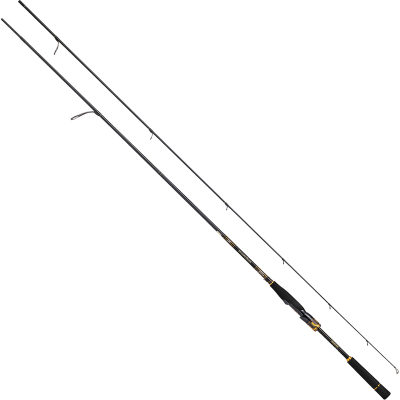 Спиннинг Daiwa Morethan Branzino EX AGS 94MMH