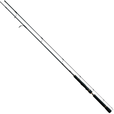 Спиннинг Daiwa Morethan Branzino 91,5 L