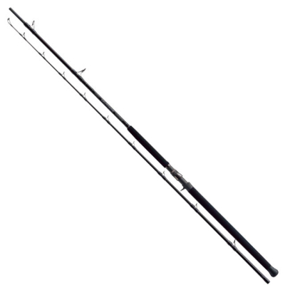 Спиннинг Zenaq Defi Muthos DM100HHH Bait-model