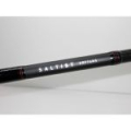 Спиннинг Daiwa Saltist HRF76MS (229 с м, 5-30 г)