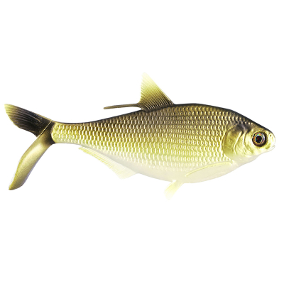 Силиконовая приманка 13 Fishing B.A.M.F. Shad 8" 104g цвет Gold Retriver